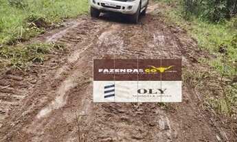 Imagem 7: Fazenda de Oportunidade ! Região de Goiás Velho ! 189 Alqueires !