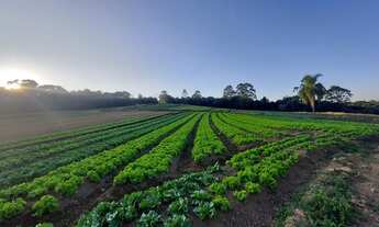 Imagem 5: Terrenos Planos e Limpos Para Sua Casa de Campo em Ibiúna - SP