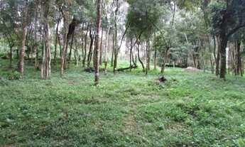 Imagem 4: Terreno para Venda em Colombo, Das Graças, 1 banheiro