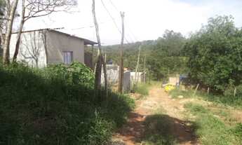 Imagem 3: Lote para Venda em Suzano, Fazenda Aya