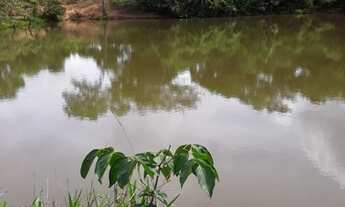 Imagem 4: Fazenda - Cocalzinho de Goiás - 158 alqueires - Toda formada - C/ Bastante água