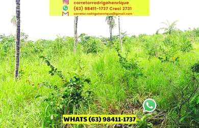 Imagem 13: Fazenda Dupla Aptidão em Lavoura Porto Nacional