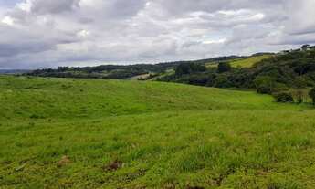 Imagem 7: Terreno muito bom na cidade de Santa Isabel
