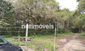 Imagem 2: Venda Lote-Área-Terreno Sambaqui Florianópolis