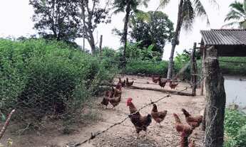 Imagem 7: Chácara próximo Gurupi