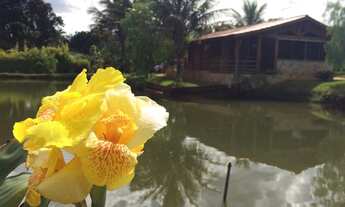 Imagem 2: Fazenda/sítios/chácaras com 2 dormitórios à venda em Igarapé