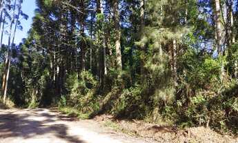 Imagem 3: Chácara Campo Largo -São Silvestre 2.594m² Registro Imóveis, 55Km Curitiba