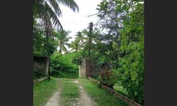 Imagem 2: Loteamento à venda, com 12.445 m² de área na Rodovia PE-35, Itapissuma-PE - Sítio Monterre