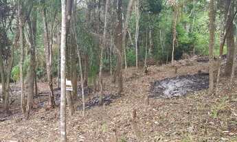 Imagem 4: Terreno semi plano em Teresópolis Granja Mafra