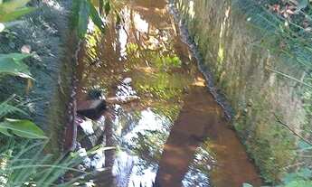 Imagem 6: Casa/Chácara - Estância Climática de Morungaba/SP/BR