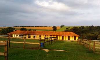 Imagem 4: Sitio formado com produção de feno