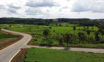Imagem 7: Lindo bairro para você morar com mais conveniência com a natureza. - Prudente de Morais