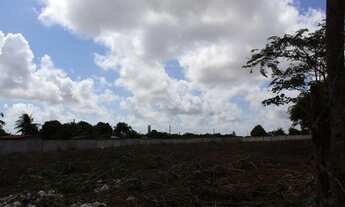 Imagem 7: Terreno para Venda em São Gonçalo do Amarante, Jardins