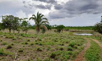 Imagem 7: Fazenda de 181 hectare em Várzea Grande