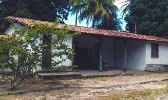 Imagem 4: Sítio / Chácara À Venda, 60000 M² - Pindoretama/ce