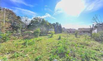 Imagem 2: Vendas Área São José Dos Pinhais PR