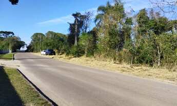 Imagem 3: Permuta Terreno Caximba 9.000m² Estrada Delegado Bruno Almeida, asfalto, troca permuta