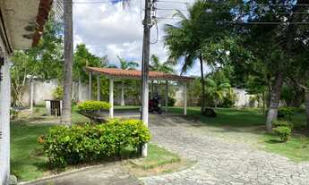 Imagem 7: LINDO SÍTIO NA SERRARIA COM 28.000 m2