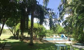 Imagem 6: Sítio próximo da cidade com 3.3 ha