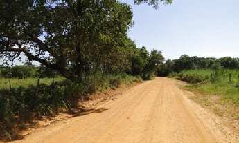 Imagem 3: SANTO ANTôNIO DO LEVERGER - Chácara - Zona Rural