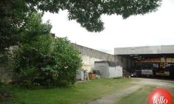 Imagem 2: São Paulo - Galpão/Depósito/Armazém - Cursino