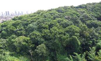 Imagem 5: Amplo apartamento de 4 suites com 193m² e varandão na Pituba