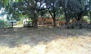 Imagem 3: Chácara 25.000m² Com Casa 3 Quartos 12 Km do Paranoá e Planaltina