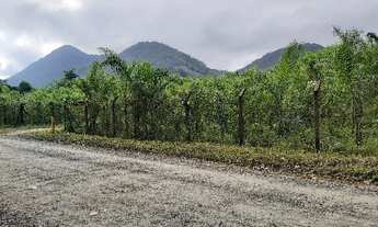 Imagem 5: Sitio em Garuva - SC