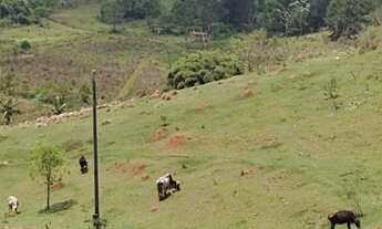 Imagem 5: Ag4-chácaras parceladas em até 72x facilidade em adquirir!