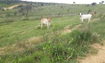 Imagem 7: Fazendinhas 20.000m2 Registradas Financiadas Com Água Luz Lagoa região de Sete Lagoas MG