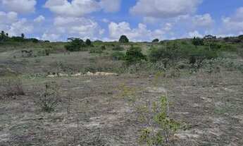 Imagem 9: Excelente Fazenda com 150 hectares na região de São Gonçalo do Amarante