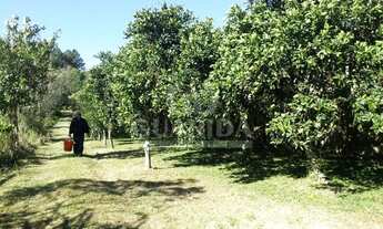 Imagem 2: Terreno para comprar no bairro Lomba Do Pinheiro - Porto Alegre