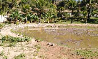 Imagem 6: Chácara com 2 dorms, Silva Jardim - R$ 850 mil, Cod: 781