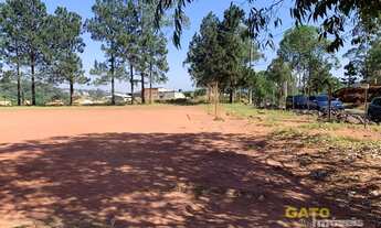 Imagem 3: Área Industrial para Venda em Cajamar, Polvilho