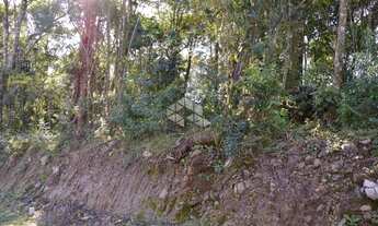 Imagem 5: GRAMADO - Terreno Padrão - Linha Avila