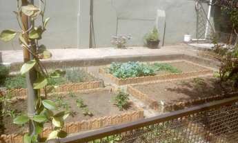 Imagem 7: Ponto comercial/loja/box com 5 dormitórios à venda em Belo Horizonte