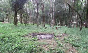 Imagem 3: Terreno para Venda em Colombo, Das Graças, 1 banheiro