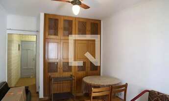 Imagem 4: Apartamento para Aluguel - Vila Tupi, 1 Quarto, 32 m2