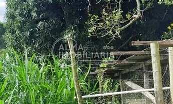 Imagem 4: Fazenda em 390.000m² Abrantes, Camaçari/Ba