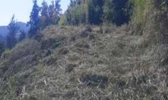 Imagem 6: Petrópolis - Terreno Padrão - Itaipava