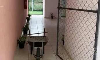 Imagem 6: Aluguel de AP Apartamento com 2 dormitórios