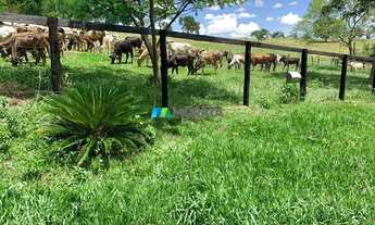 Imagem 5: ARAçAí - Fazenda - Zona Rural