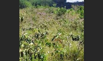 Imagem 5: Terreno com água em abundância na região Serra da Canastra, MG