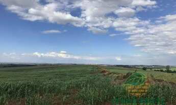 Imagem 6: Chácara à venda 1 Quarto, 774400M², Vila Ipiranga, Londrina - PR