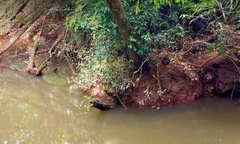 Imagem: Fazenda/Sítio/Chácara para venda tem 5000