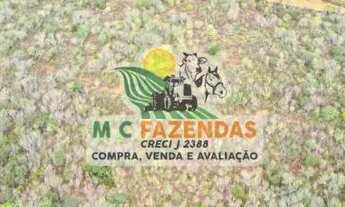 Imagem 5: Fazenda à Venda em Jeremoabo | Potencial p/ Agricultura e Pecuária