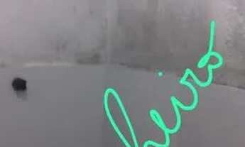 Imagem 4: Aluga-se ou vende-se Casa