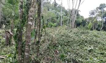 Imagem 7: Excelente terreno para sítio ou investimento