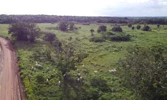 Imagem: 1400 hectares fazenda pronta por 25 milhões