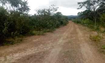 Imagem 5: Terreno perto do Rio São Francisco